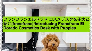 フランフランエルドラドコスメデスクを子犬と紹介(francfranc)/Introducing Francfranc El Dorado Cosmetics Desk with Puppies