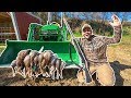 Duck Hunting MY FARM on OPENING DAY!!! (CATCH CLEAN COOK)