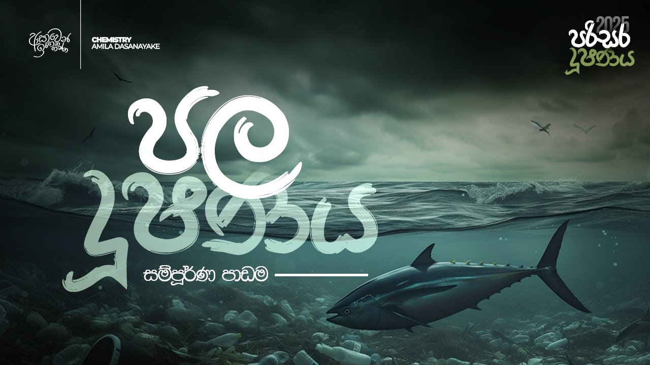 ජල දූෂණය (පරිසර දූෂණය) සම්පූර්ණ පාඩම | 2025AL | Amila Dasanayake