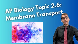 (2019 curriculum) 2.6 Membrane Transport - AP Biology