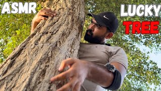 ASMR || TREE MASSAGE NO EDIT MOST RELAXING & SLEEPING |