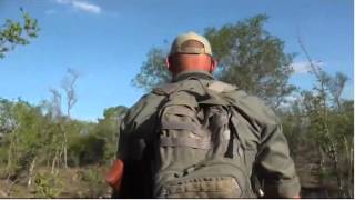 Oct 28 WildEarth Sunset Safari LIVE and bushwalk