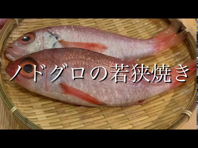 のどぐろ 超高級魚を干物にしてしまう もったいない Youtube のどぐろ 超高級魚を干物にしてしまう もったいない Youtube