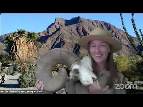 Learn about the Desert at Anza-Borrego Desert State Park