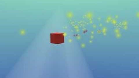 Prey and predator simulation