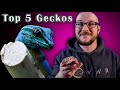Top 5 BEST Geckos | Great Pets In A Small Package