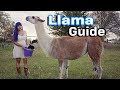 Llama Care + Farm Guard Guide