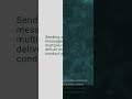 Spamming Attacks or Spamming, Cybersecurity Mini Dictionary #shorts
