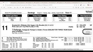 2026 Forego Stakes Full Field Analysis and Picks at Saratoga Guide
