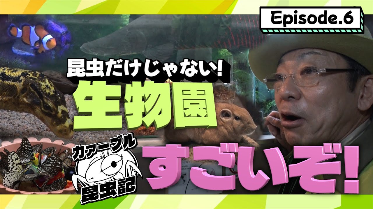 お待たせしてすみません！生物園すごいぞ！