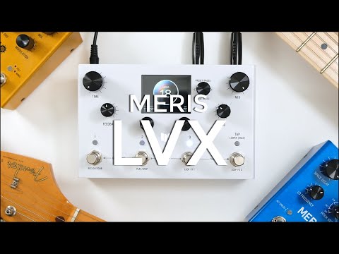 Meris LVX Modular Delay Pedal