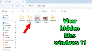 How to view hidden files windows 11