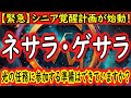 【警告】ネサラ・ゲサラ『シニア覚醒計画』がついに始動…世界は「光」へ反転します。闇の支配が終わる時代に選ばれし者は「あなた」です！人生終盤の使命に参加する準備はできていますか？