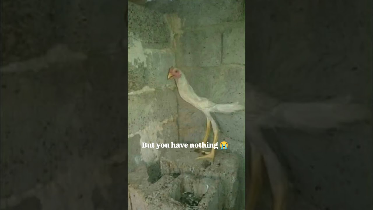 Dirty minded can understand 