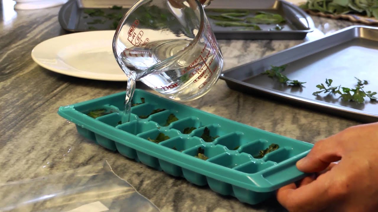 How to Store Fresh Herbs At Home With P. Allen Smith YouTube