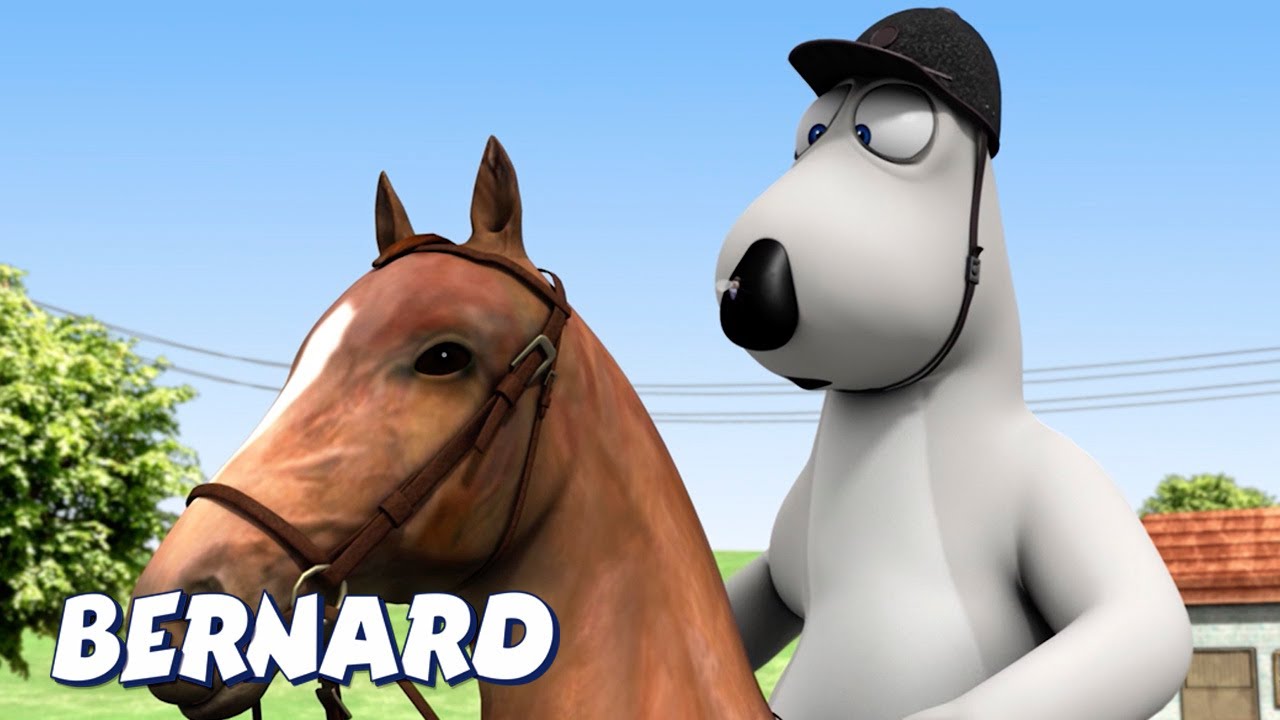 Download Bernard Bear | Dressage AND MORE | Cartoons for Children | Full Episodes