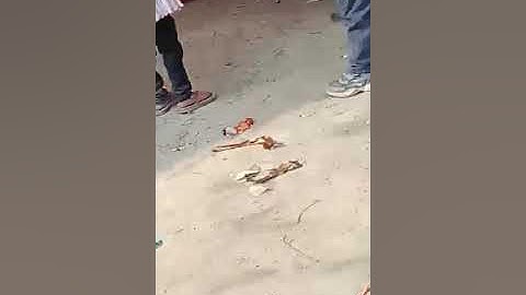 Saraswati Vandana Song💖❤️ performance in Drona prep public school