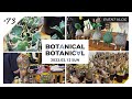 【BOTANICAL BOTANICAL】日本中の植物好きが熱狂したあの祭典へ行ってきた|アガベ・塊根植物・サボテン【東京都】