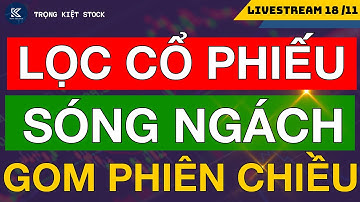 🔴 CỔ PHIẾU NGÁCH VÀO SÓNG CANH GOM TRONG CHIỀU NAY !!