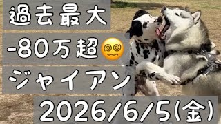 【過去最大の含み損😵‍💫/ダル夫くん】-80万超😭/ジャイアンハス夫