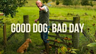 HOW TO Train A Cocker Spaniel Puppy Content