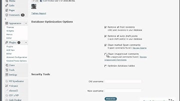 WordPress Database Cleanup