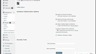 WordPress Database Cleanup