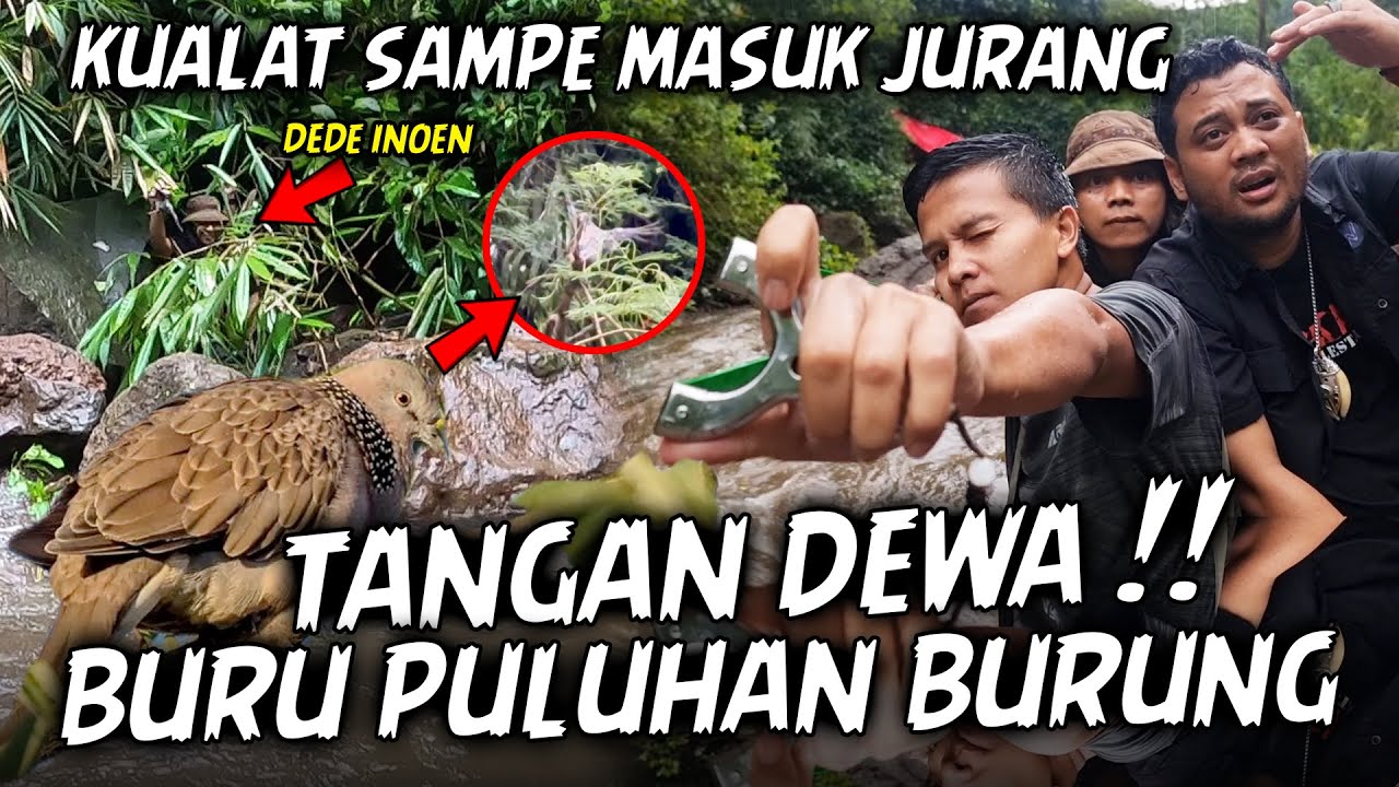 TANGAN DEWA DEDE INOEN VS KETAPEL RIZKY ART‼️BERBURU BURUNG TEKUKUR DI HUTAN SAMPE MASUK JURANG