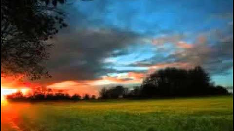 تلاوة هي من أروع ما سمعتُ لسعد الغامدي ، و لكم التعليق