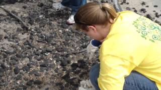 Aviva USA employees cleaning up a bus stop during Trash Bash 2010