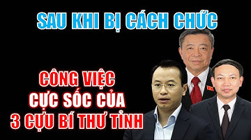 Sốc với CÔNG VIỆC HIỆN TẠI của 3 bí thư tỉnh uỷ đầy quyền lực SAU KHI BỊ CÁCH CHỨC