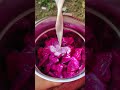 Dragon fruit juice | ഡ്രാഗൺ ഫ്രൂട്ട് ജ്യൂസ് | dragon fruit shake | Dragon fruit recipes