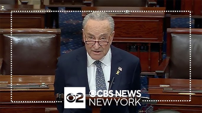 Schumer Says Israel Needs To Vote For New Government