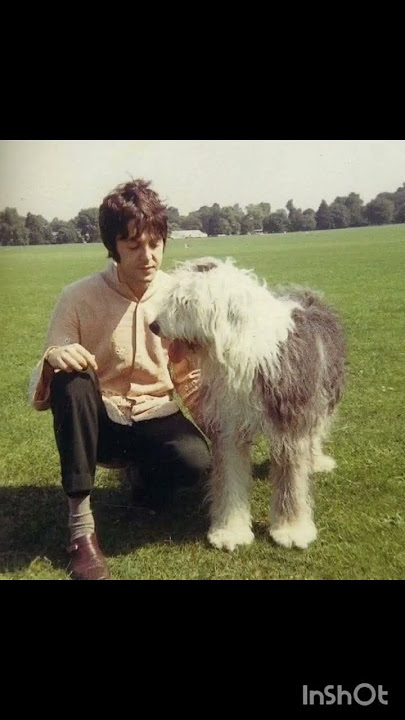 Paul Mccartney