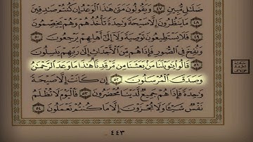 المقطع 61 القارئ ناصر العصفور سورة يس كاملة
