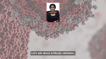 Antibody Validation: Our approach to advanced antibody validation