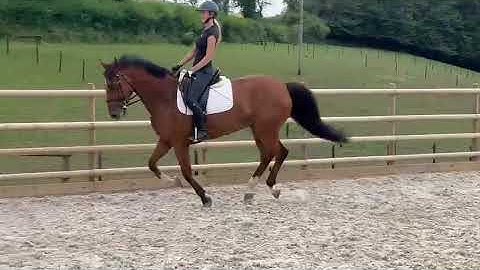 d0d39dd3 15fd 41ab 9945 fd31e3dcf599