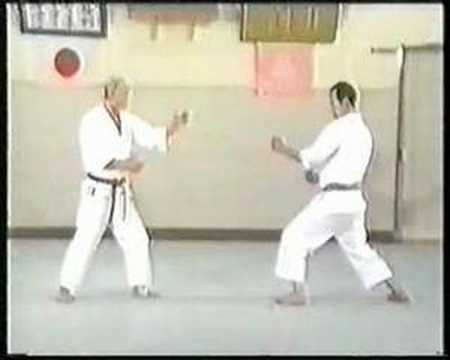 Wado Karate Techniques by Tatsuo Suzuki Sensei