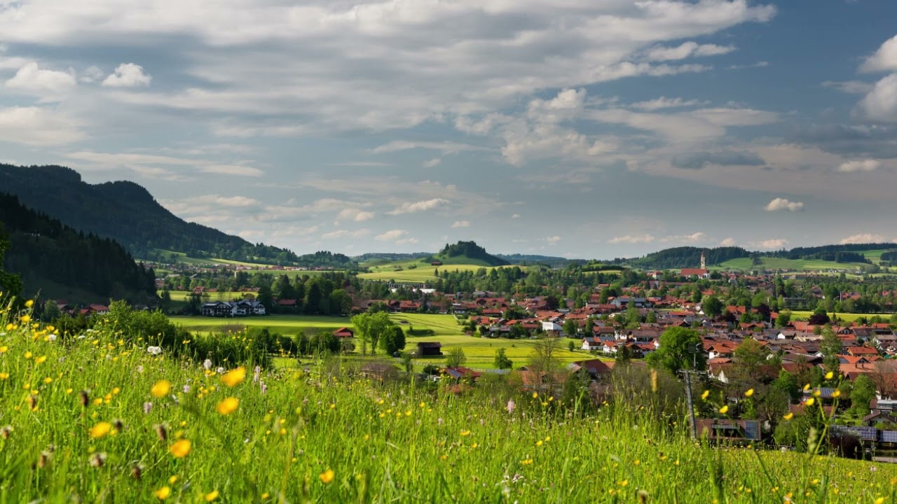 Tôi Nuôi Cả Gia Đình Anh 5 Năm, Anh Lại Có Vợ Khác phần 2