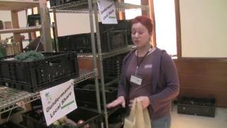 Central City Co-op: BUY shares - Quick & Easy
