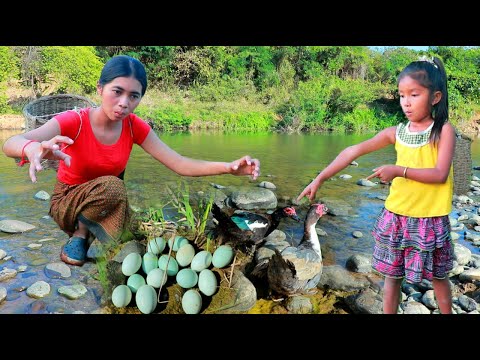 Liziqi2 Cooking Pretty Girl Catch Duck Eggs Cook Delicious Baby Duck Eggs 52
