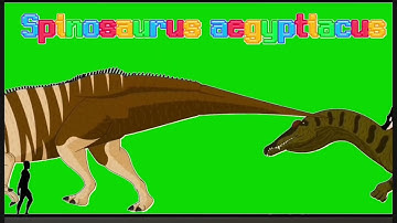 “Marching Dinosaurs” size comparison with names (GREEN SCREEN)