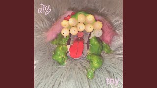 toy - diig