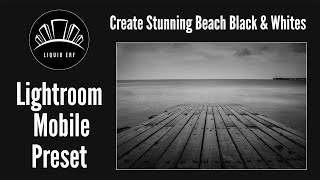 Free Lightroom Mobile Preset (DNG) Create a beautiful Black and White Beach edit screenshot 5
