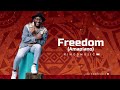 Kingdmusic freedom amapiano lyric visualizer