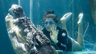 The Cage Of Ping At Crocosaurus Cove - Middle Of Darwin,Australia