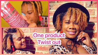 NEW! The Mane Choice Prickly Pear Paradise Line // One Product Twist Out On Fine Natural Hair