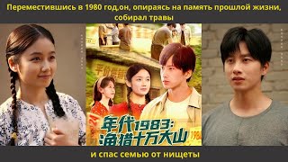 видео: Переместившись в 1980 год,он, опираясь на память прошлой жизни, собирал травы и спас семью от нищеты картинка: Переместившись в 1980 год,он, опираясь на память прошлой жизни, собирал травы и спас семью от нищеты