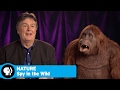 Spy Creatures in Wildlife Filming