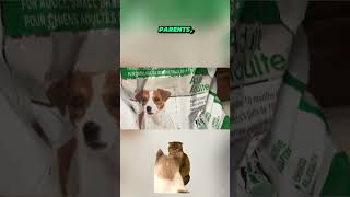 I Tried Royal Canin For My Dog And WOW!